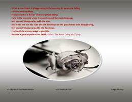 The Art of Living and Dying